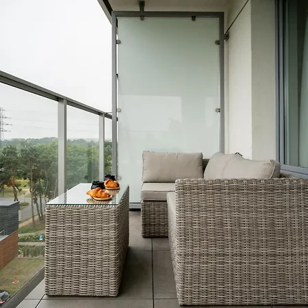公寓 Apartamentygdanskeu - Baltica Tower 223- Pietro 5 格但斯克